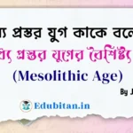 6 Characteristics of Mesolithic Age