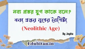 6 Characteristics of Neolithic Age