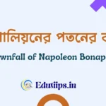 Downfall of Napoleon Bonaparte