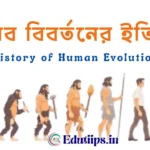 History of Human Evolution