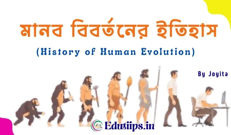 History of Human Evolution