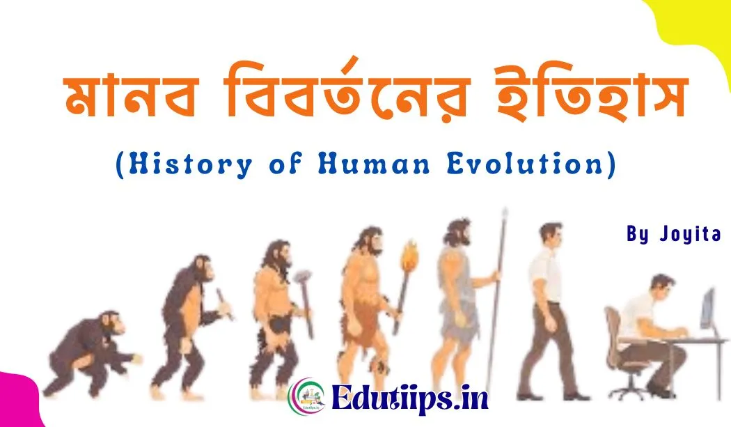 History of Human Evolution
