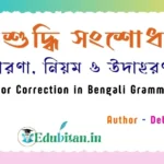 Error Correction in Bengali Grammar